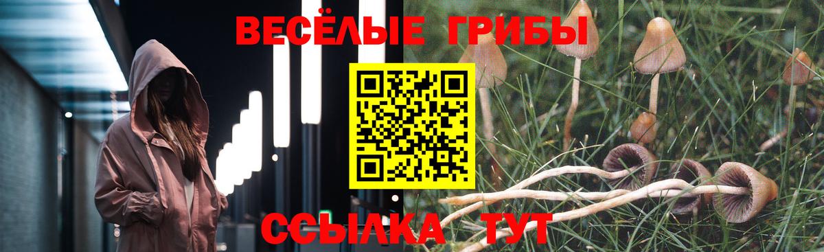 Галлюциногенные грибы Cubensis  Вход с VPN  Щёкино  Галлюциногенные грибы GOLDEN TEACHER 