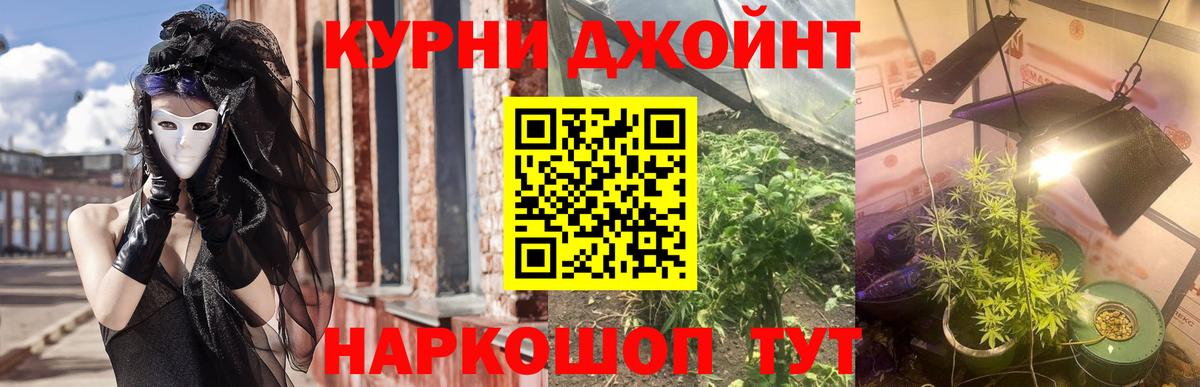 Бошки Шишки MAZAR Щёкино